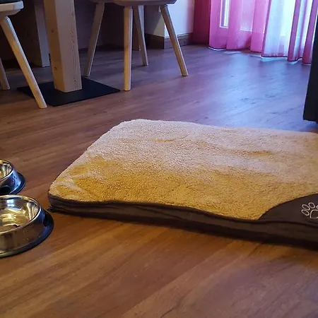 酒店 阿索托丽亚酒店