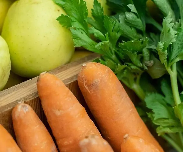 Astoria Отель 4*